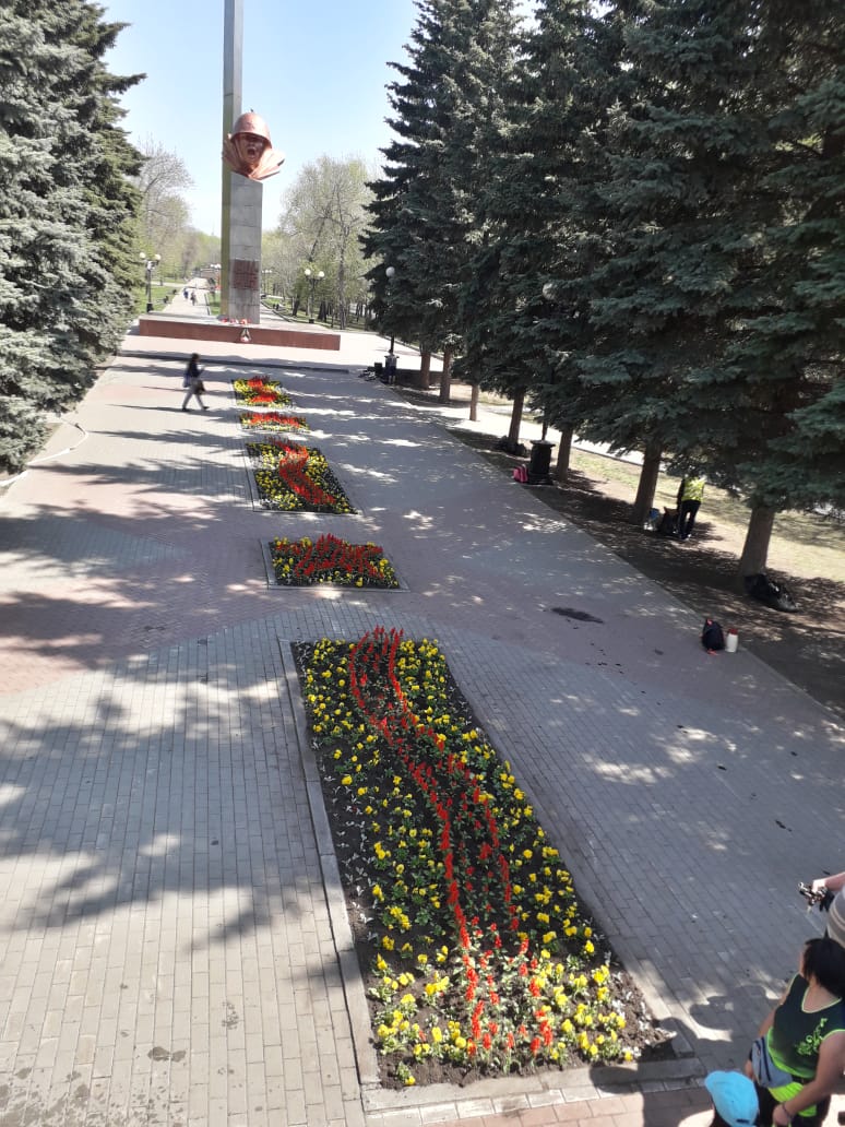 Купить Кошку В Челябинске В Металлургическом Районе